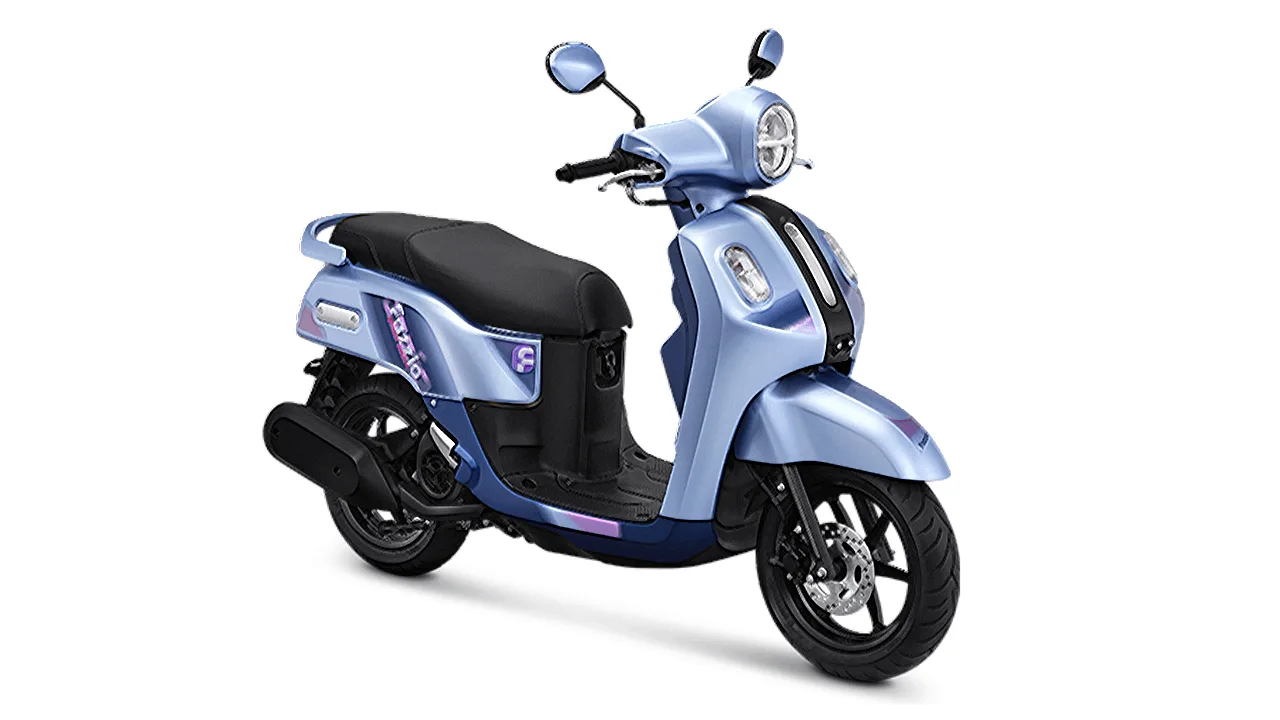 Fazzio Special Edition